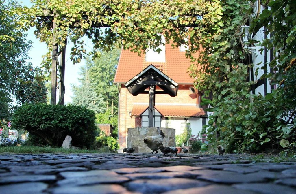 Hotel Cafe Am Stift Hessisch Oldendorf エクステリア 写真