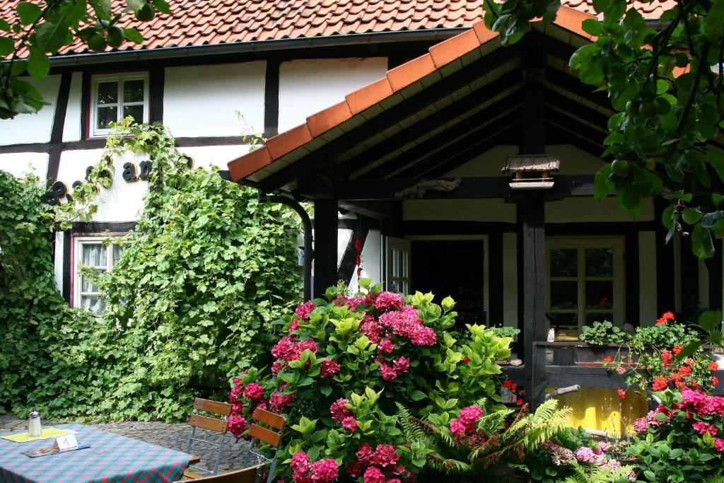 Hotel Cafe Am Stift Hessisch Oldendorf エクステリア 写真